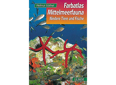 Farbatlas Mittelmeerfauna